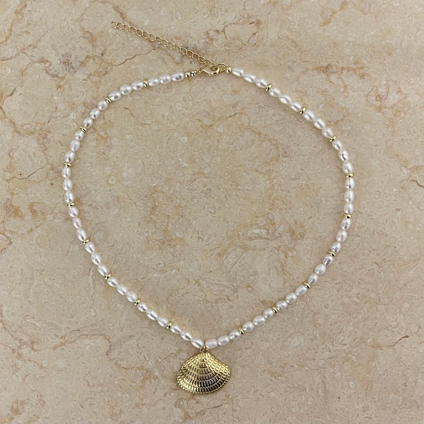 Clam Shell Pendant