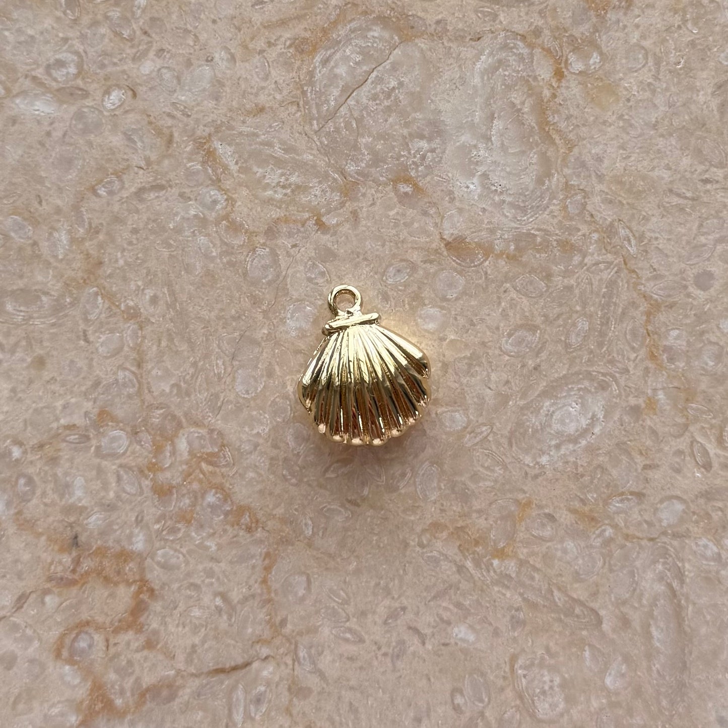 Clam Shell Charm