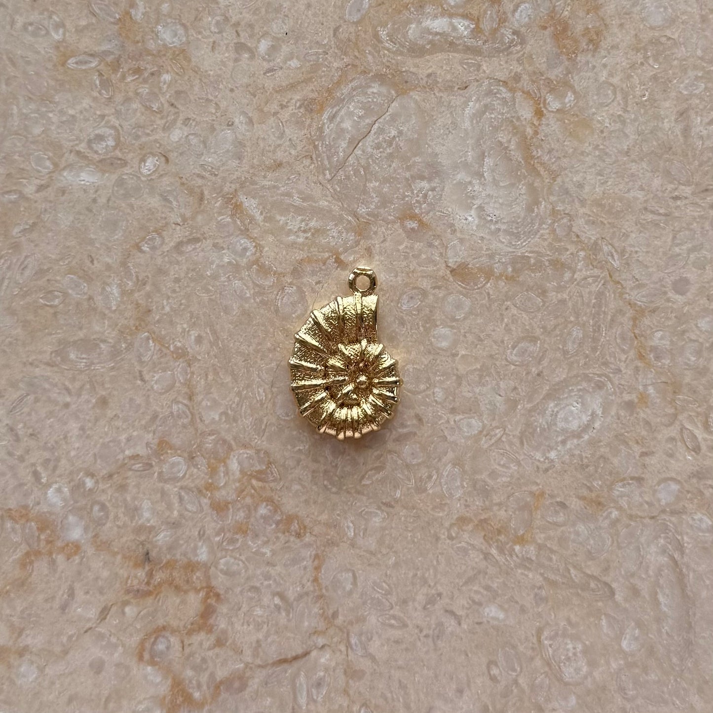 Conch Shell Pendant