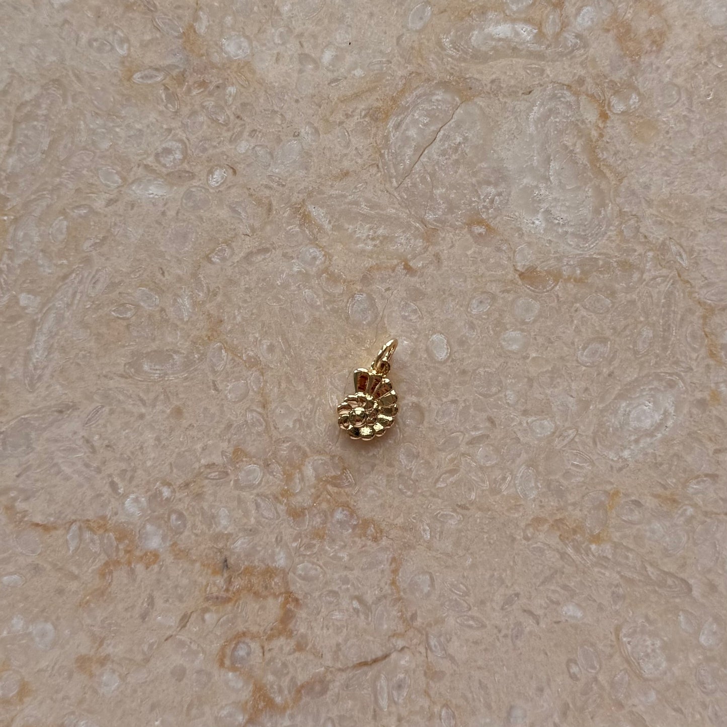 Small Conch Shell Charm
