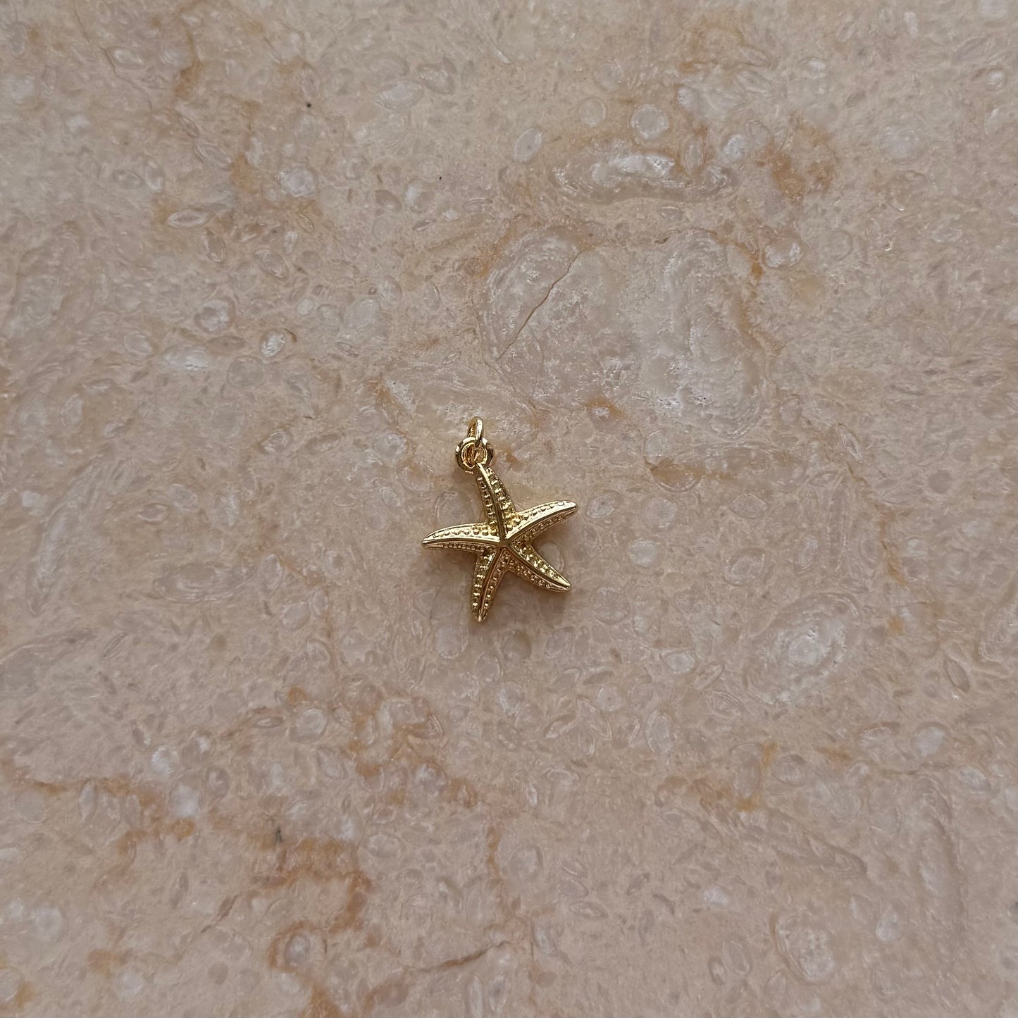 Starfish Sea Star Charm