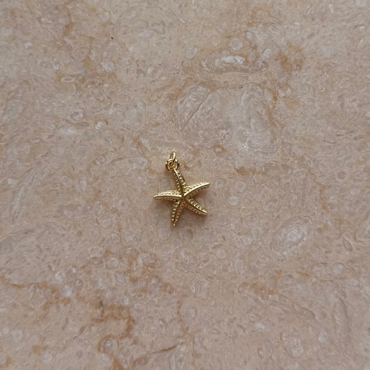 Starfish Sea Star Charm